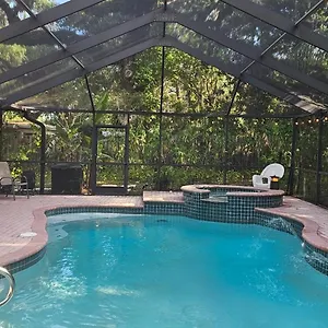 The Jungle Homestay Tampa